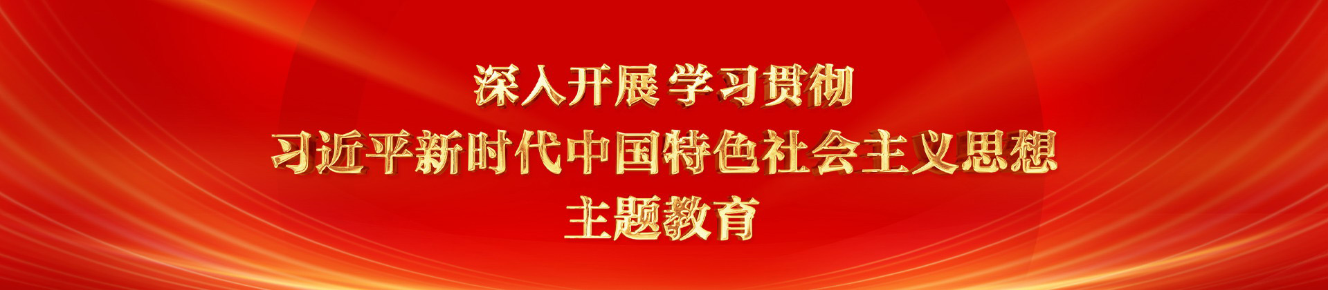 学习贯彻习近平新时代中国特色社会主义思想主题教育