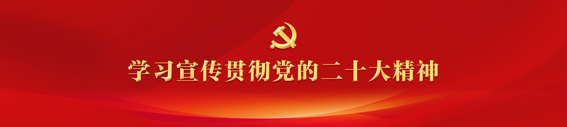 学习宣传贯彻党的二十大精神